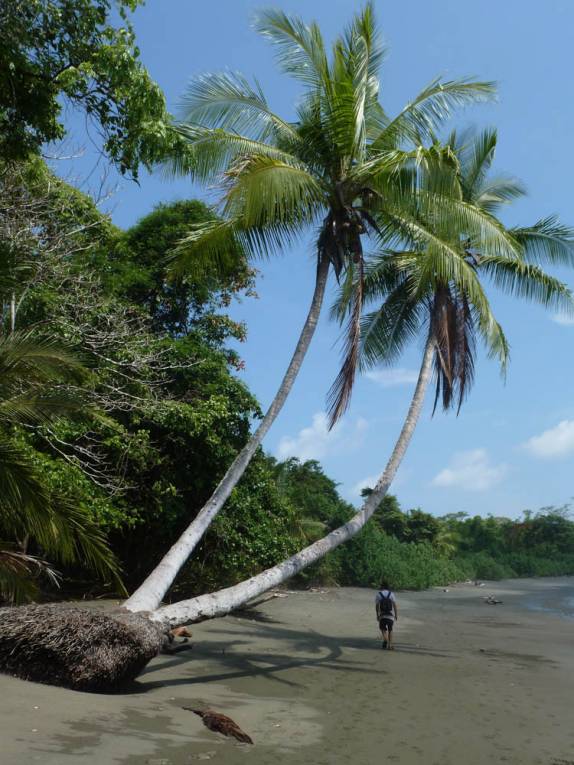 Caminhando na praia do Parque Nacional Corcovado, na Península de Osa, no sul da Costa Rica